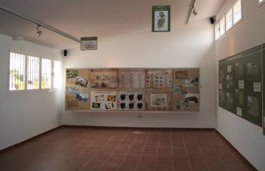 educación ambiental yepes Centro
