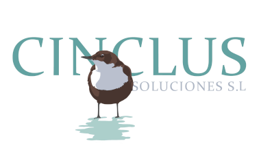 logo cinclus