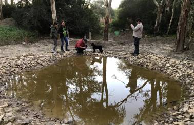 voluntarios jerez analisis