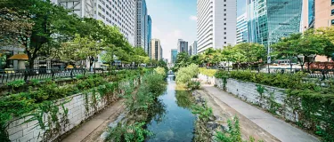 Salud, Seguridad y Medio Ambiente en Holcim