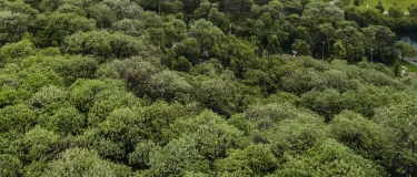 calculadora huella carbono Holcim