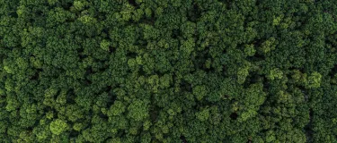 calculadora huella carbono Holcim