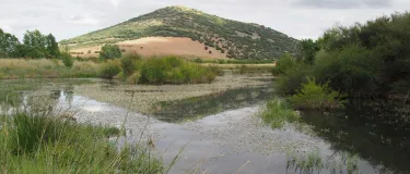 Vista del charco del tamujo