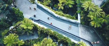 gente paseando por un parque
