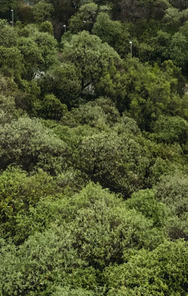 calculadora huella carbono Holcim