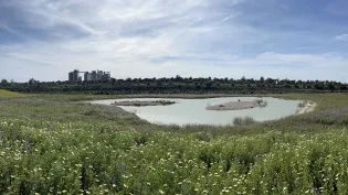 proteccion de la natueraleza