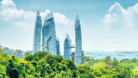 Holcim Descarbonizacion