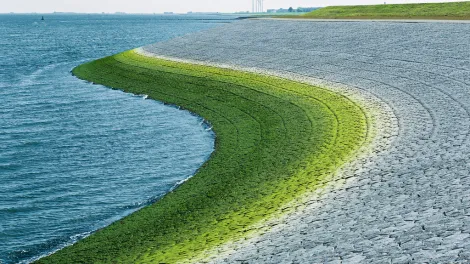 Holcim Huella hidrológica