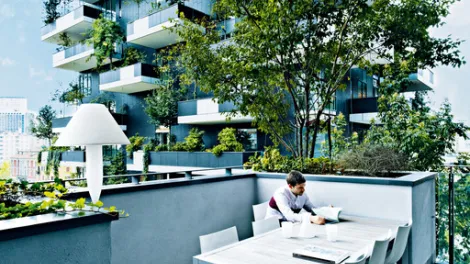 Ecotasas: Qué son, Funcionamiento y Aplicación en España