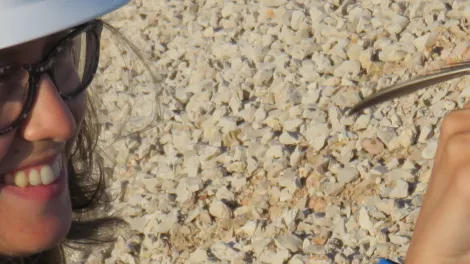 Investigación aplicada