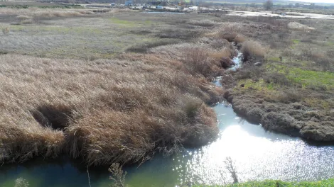 Biodiversidad compartida en GBIF