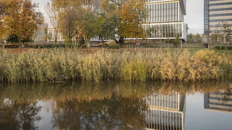 Reflejo en el agua de edificio Holcim