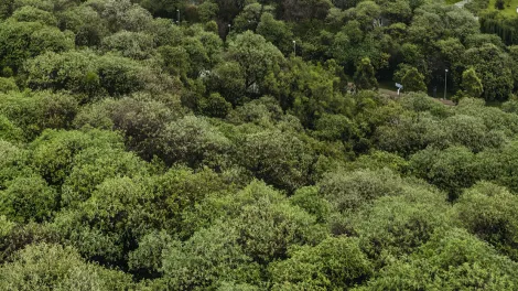 calculadora huella carbono Holcim