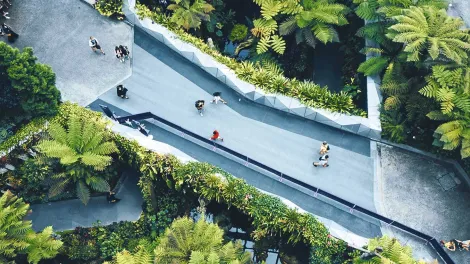 gente paseando por un parque
