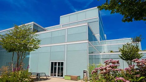Pavimento continuo de diseño exterior en edificio moderno con fachada de vidrio y acabado arquitectónico minimalista