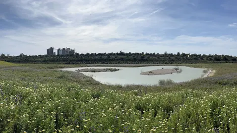 proteccion de la natueraleza
