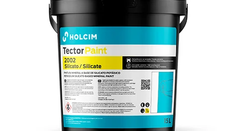 Bote TectorPaint 2002 silicato 15l