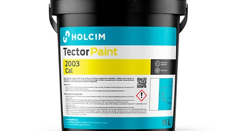 Bote TectorPaint 2003 Cal 15l