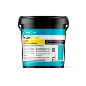 Bote TectorPaint 2002 silicato 15l