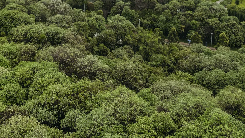 calculadora huella carbono Holcim