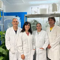 Ponemos la Primera Piedra Cucare diagnostics 