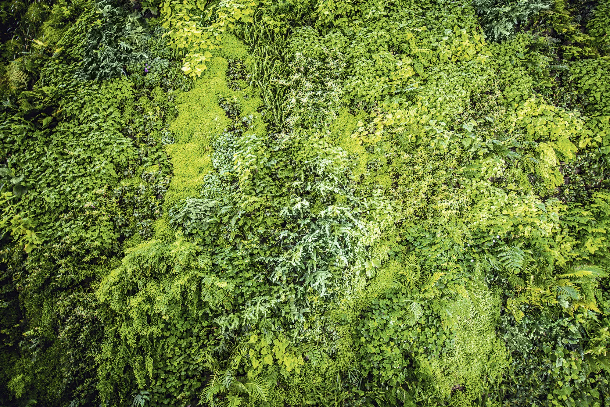 calculadora holcim huella carbono