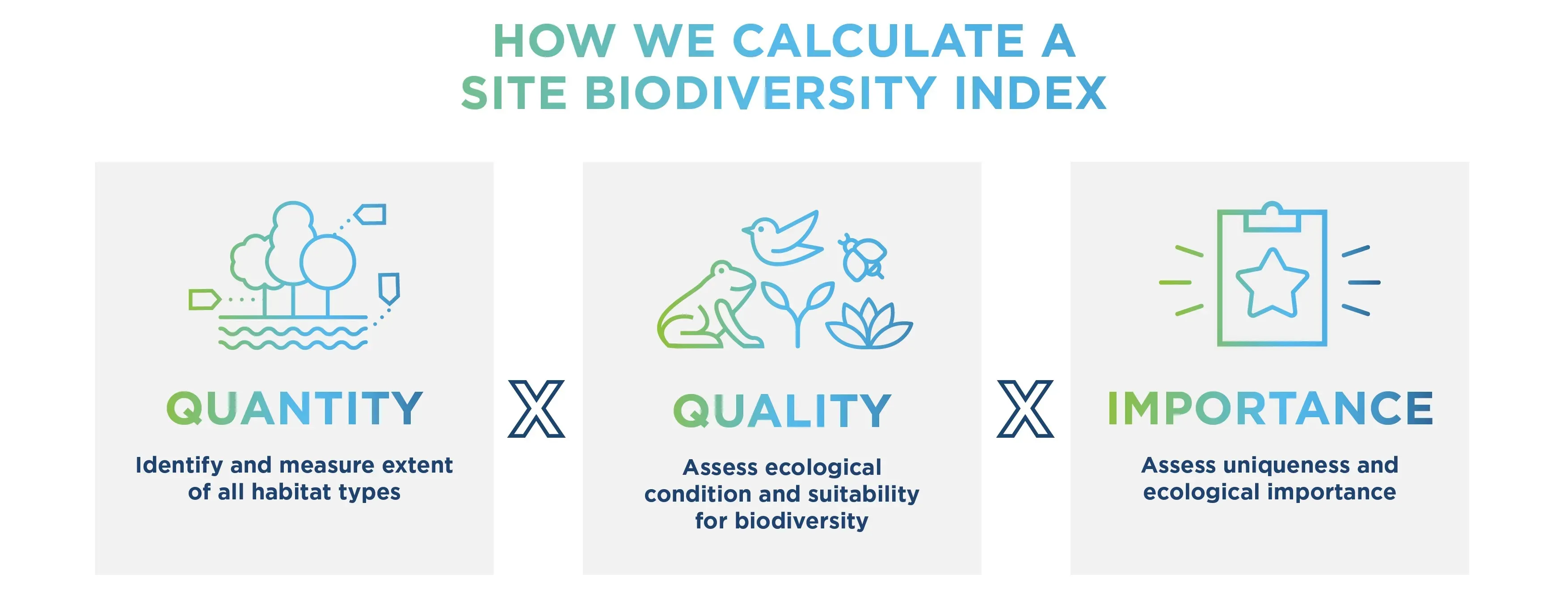 Cuadro explicativo calculo biodiversidad
