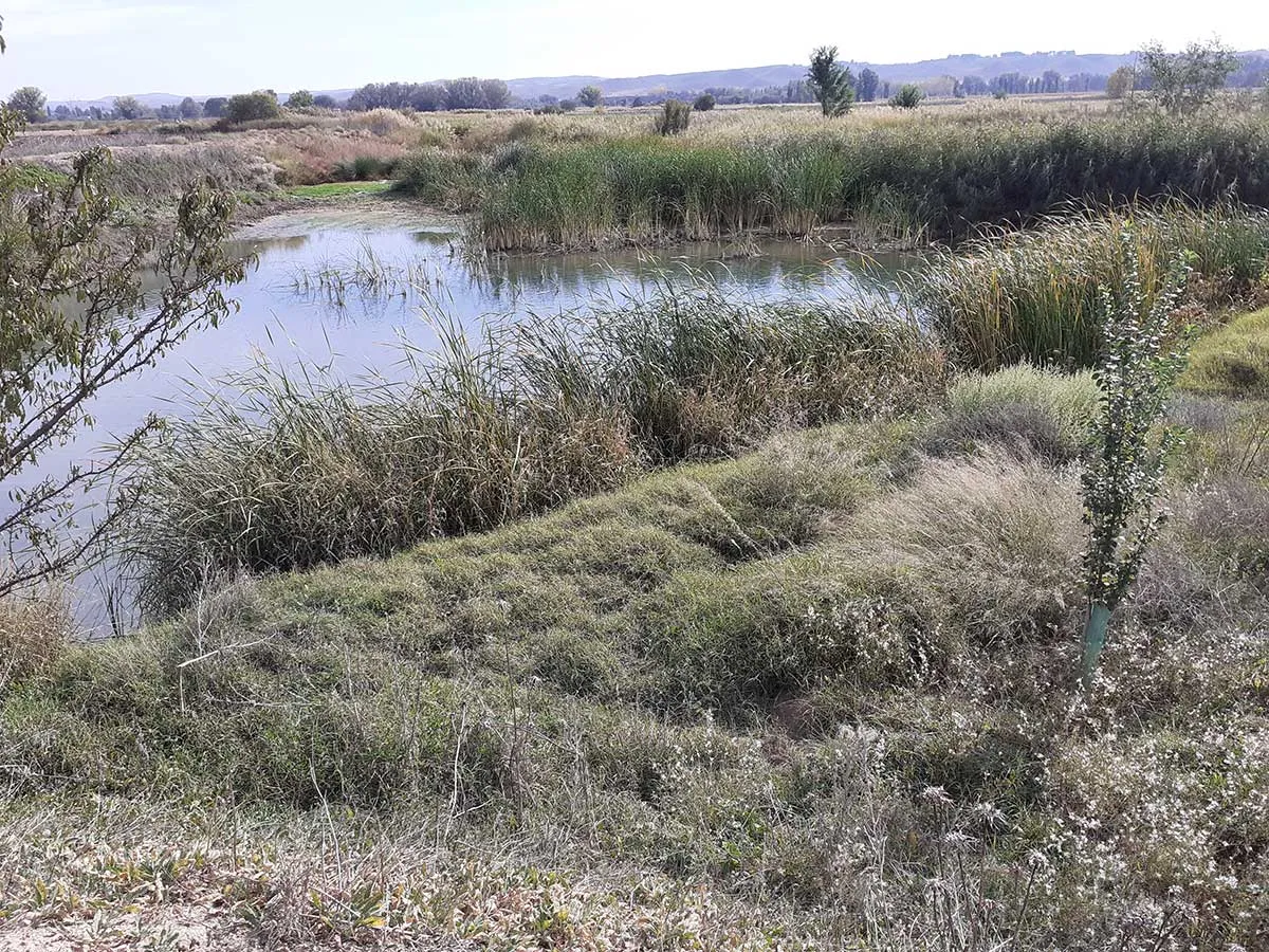 Complejo Lagunar FIRE y HOLCIM mejoran la biodiversidad