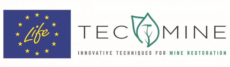 logotipo tecmine