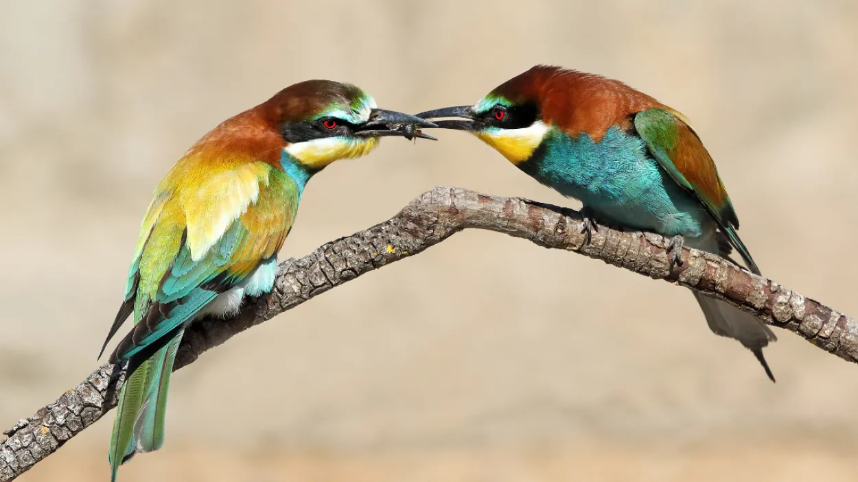 Valoración de la biodiversidad y de los recursos que nos ofrecen los ecosistemas