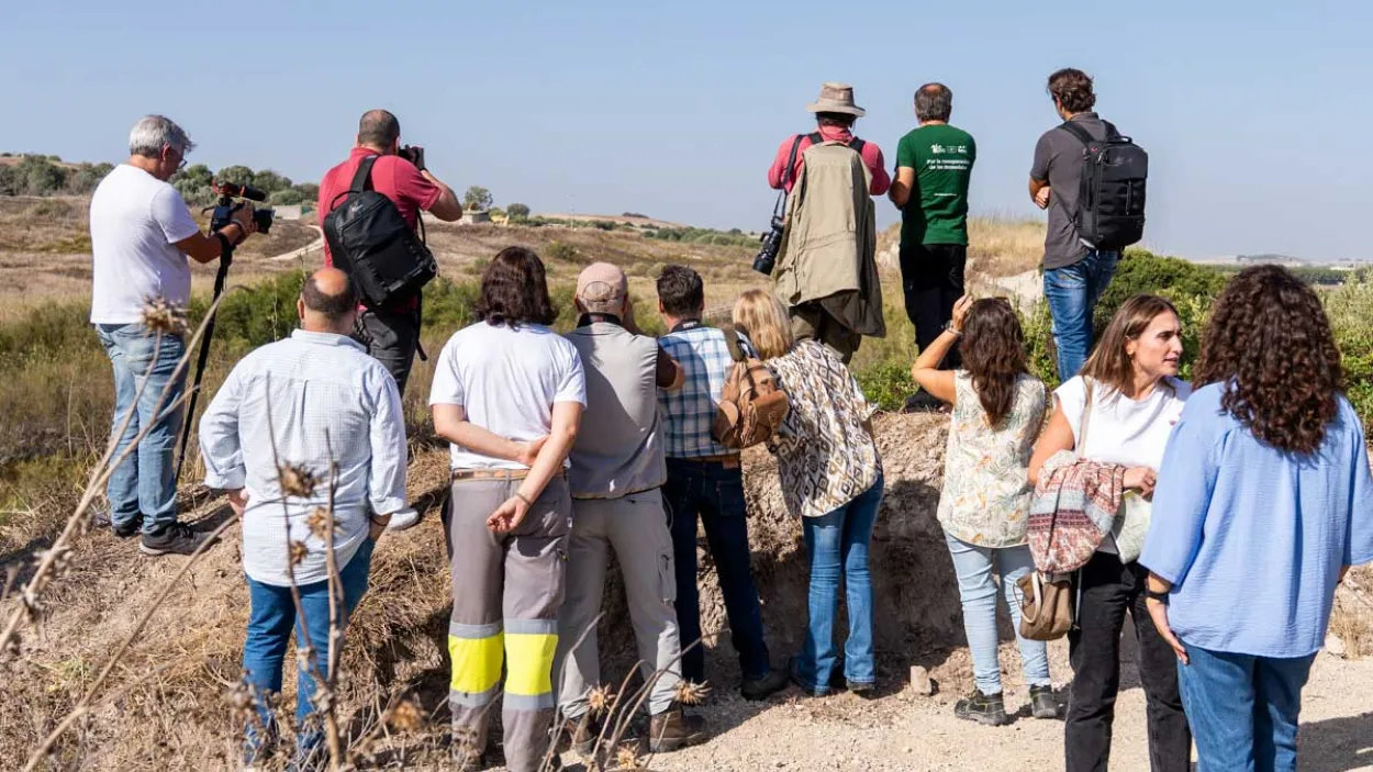 liberación cerceta pardilla en cantera Jerez