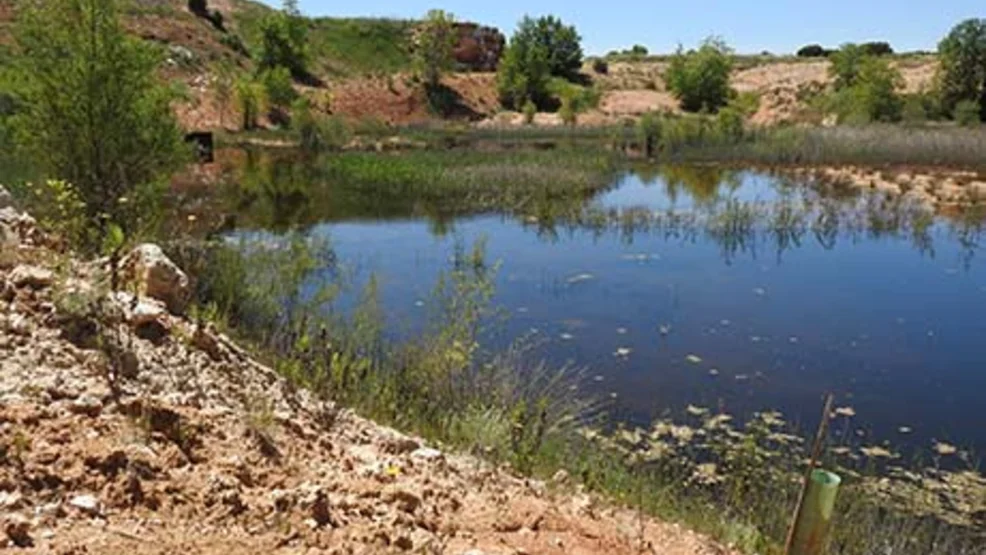 erspectiva del humedal de La Chanta con un tubo protector verde para reforestación en primer plano, rodeado de taludes arcillosos y vegetación enraizada.