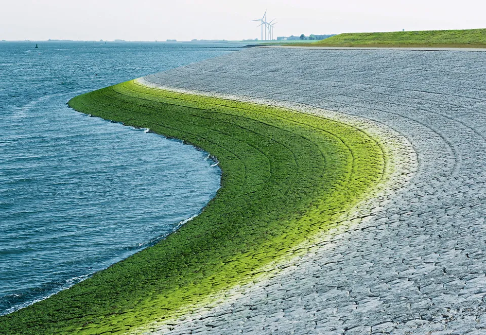 CAMINO AL NET-ZERO HOLCIM