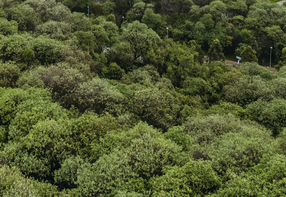 calculadora huella carbono Holcim