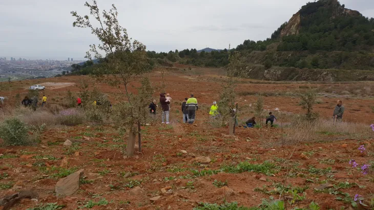 Comunicación técnica