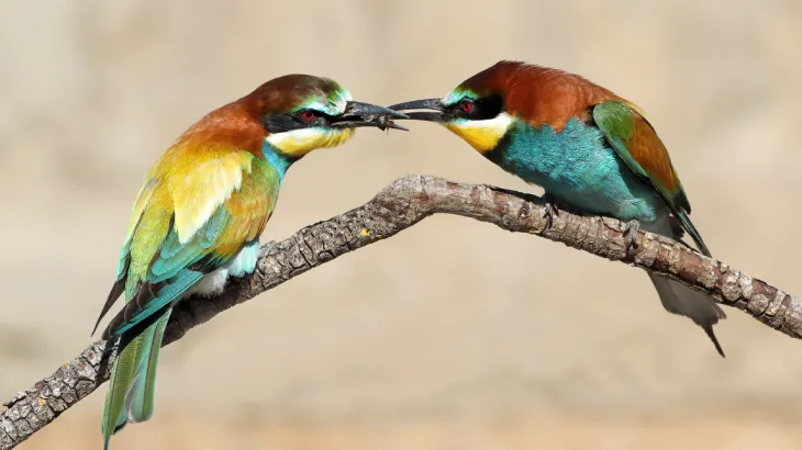 Valoración de la biodiversidad y de los recursos que nos ofrecen los ecosistemas