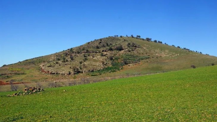 Programa Apadrina una roca