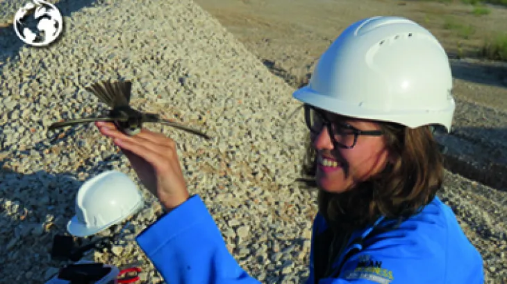 Visión y concepto general