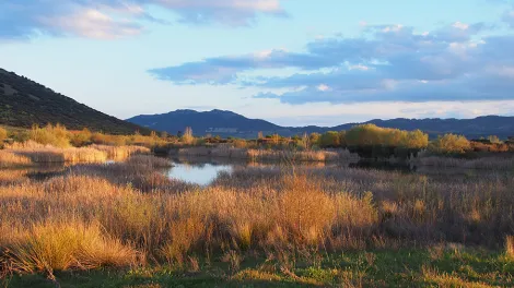 Charco del Tamujo (2)