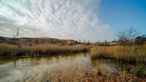 La Chanta Humedal