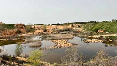 el-humedal-la-chanta.jpeg