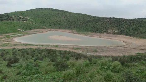 Creación de un humedal