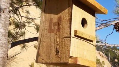 Villargordo del Cabriel