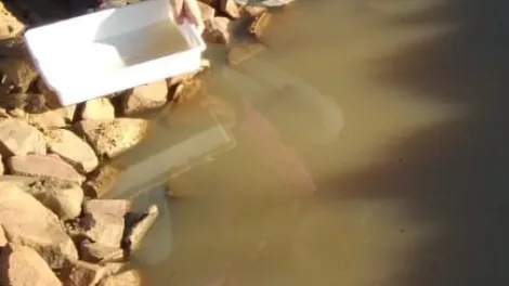 Restauración de ecosistemas