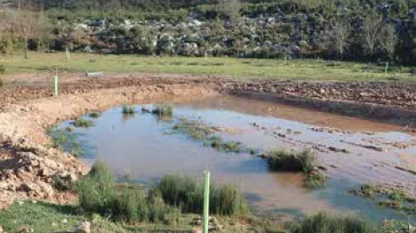 Torrelavega y San Felices de Buelna