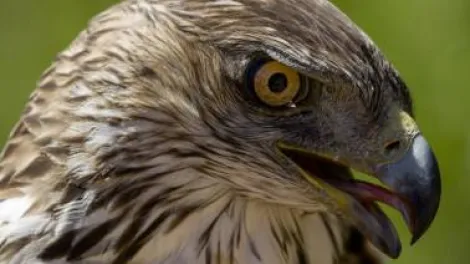 Comunidad Valenciana