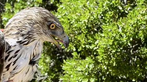 Villargordo del Cabriel