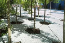 ECOPact Hydromedia Tránsito Peatonal